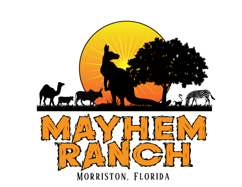 South florida spring festival | mayhem ranch final sun logos | mayhem ranch